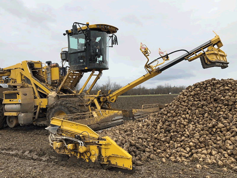 landwirtschaft10