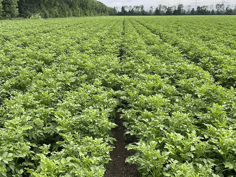 landwirtschaft6