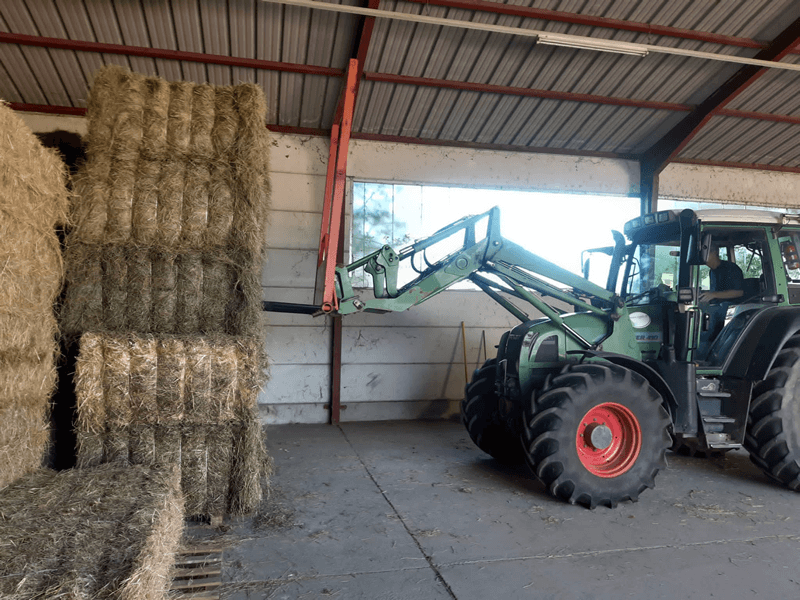 landwirtschaft8