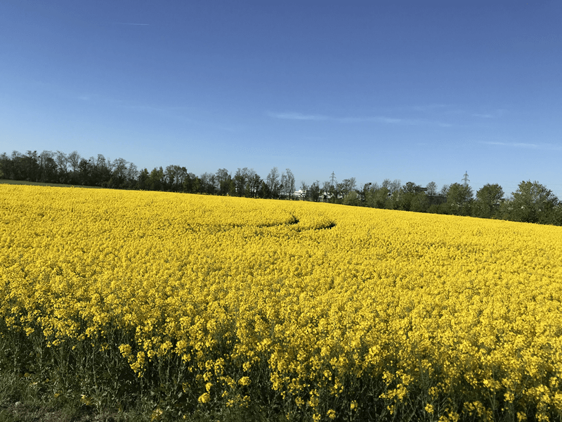 landwirtschaft9
